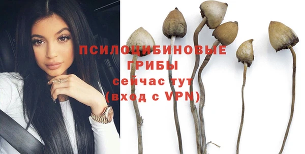 apvp Абдулино