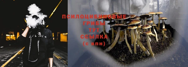 apvp Абдулино