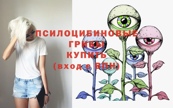 бошки Кулебаки
