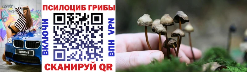 Псилоцибиновые грибы прущие грибы площадка официальный сайт Томилино